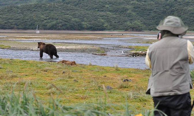 Photographer taking a picture of Kodiak Brown Bear.